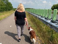 Weer ontspannen wandelen met je hond. Dat leer je bij hondengedragsdeskundige Dierencoach Hessels.